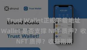 Trust Wallet正规下载地址 Trust Wallet 是否支撑 NFT 质押？收益指南