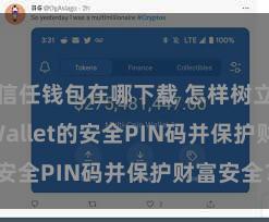 信任钱包在哪下载 怎样树立Trust Wallet的安全PIN码并保护财富安全？