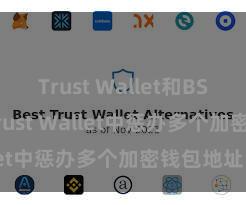 Trust Wallet和BSC 如安在Trust Wallet中惩办多个加密钱包地址？