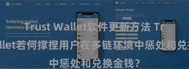 Trust Wallet软件更新方法 Trust Wallet若何撑捏用户在多链环境中惩处和兑换金钱？